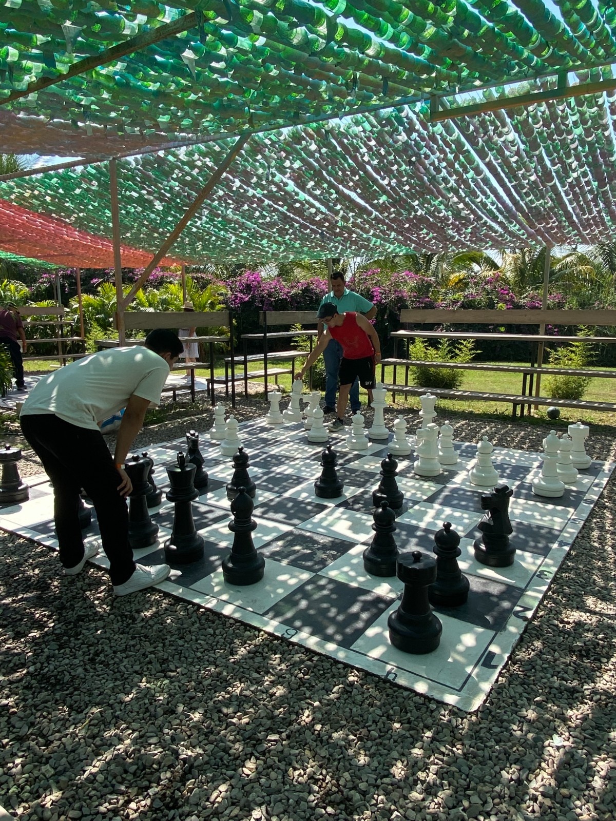 Board Games